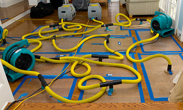 Professional Flood Damage Restoration technician working in Dakota City, NE